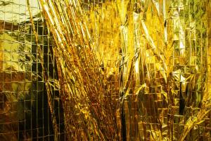 Cardinal Sessions Festival 2019 (71 von 399)