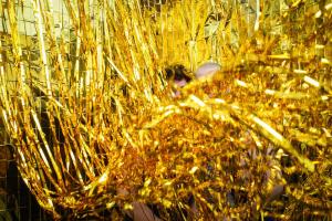 Cardinal Sessions Festival 2019 (96 von 399)