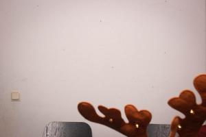 showmaster (38 von 939)