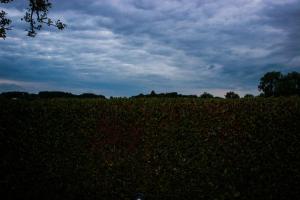 franzi alex (160 von 717)