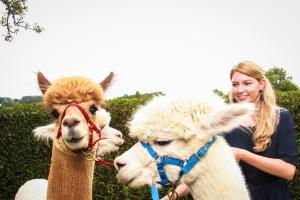 franzi alex (17 von 717)