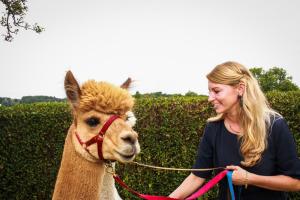 franzi alex (20 von 717)