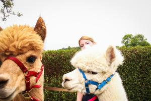 franzi alex (23 von 717)