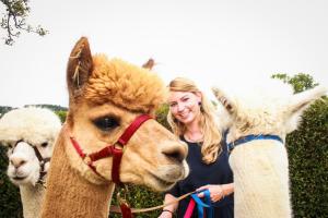 franzi alex (24 von 717)