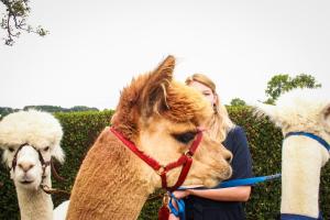 franzi alex (25 von 717)