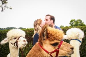 franzi alex (31 von 717)