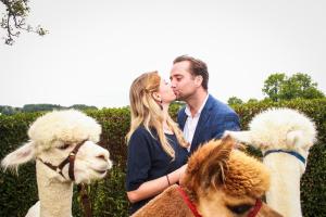 franzi alex (32 von 717)