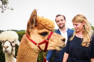 franzi alex (35 von 717)