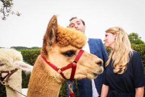 franzi alex (36 von 717)