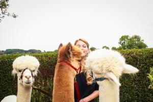 franzi alex (8 von 717)